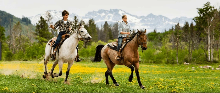Confident plus-size woman riding Sedgley Park a horse through a field with a smile on her face.